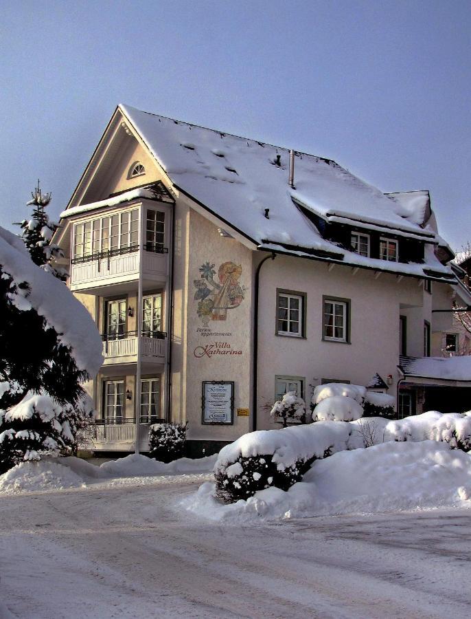 Villa Katharina Penthouse Wohnung Willingen  Esterno foto
